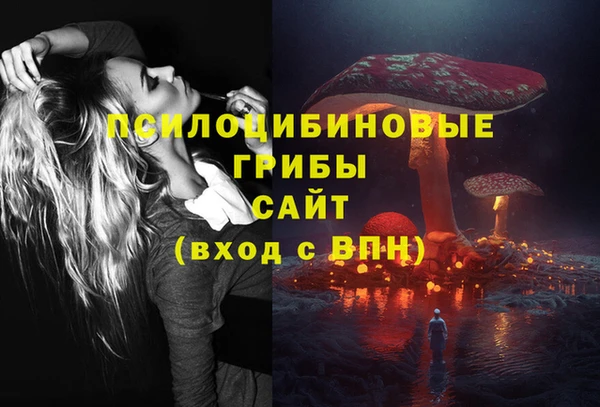 jwh Бородино