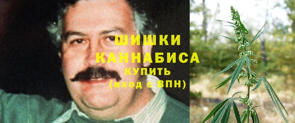 шишки Бронницы